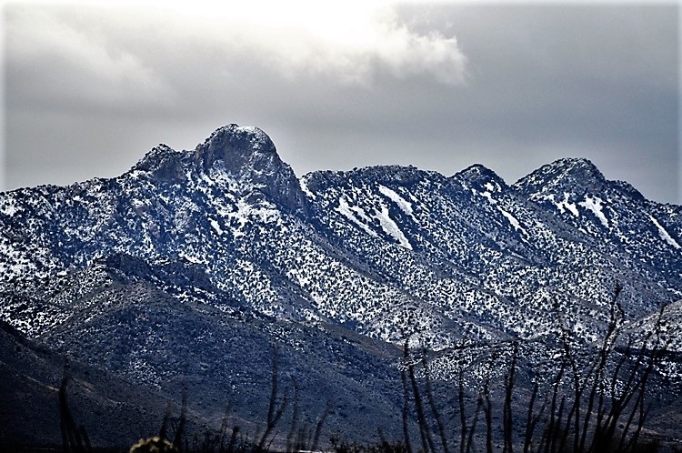 snow-capped mtns